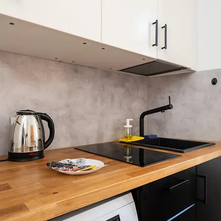 Polesie Gdanska Brick Studio Apartment *